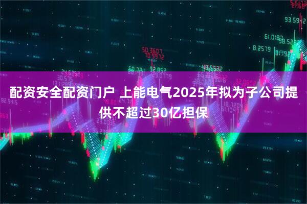 配资安全配资门户 上能电气2025年拟为子公司提供不超过30亿担保