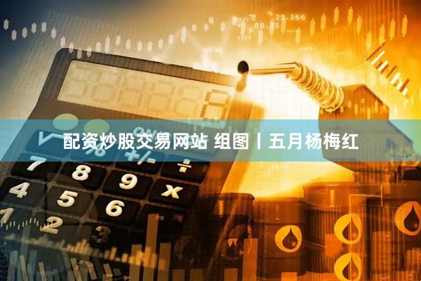 配资炒股交易网站 组图丨五月杨梅红