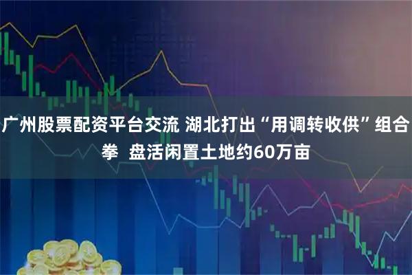 广州股票配资平台交流 湖北打出“用调转收供”组合拳  盘活闲置土地约60万亩